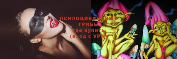 крисы Баксан