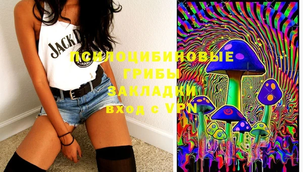 мдпв Балахна