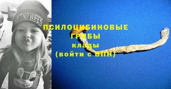 а пвп мука Армянск