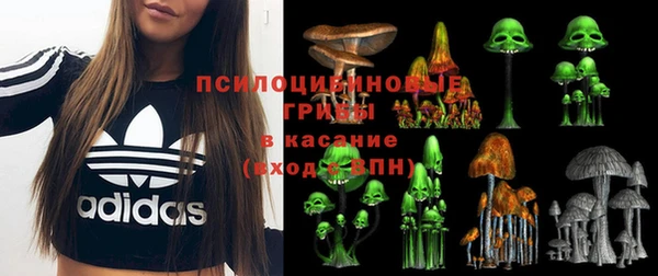 Альфа ПВП Арсеньев
